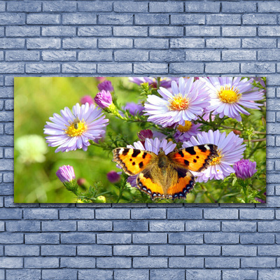 Obraz na plátně Květiny Motýl Příroda