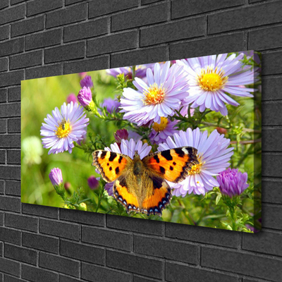 Obraz na plátně Květiny Motýl Příroda