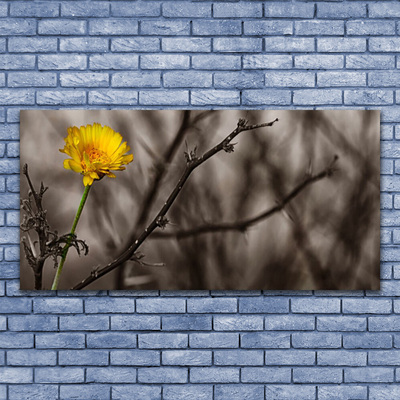 Obraz na plátně Větev Květ