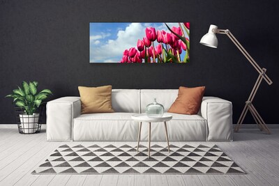 Obraz na plátně Tulipán