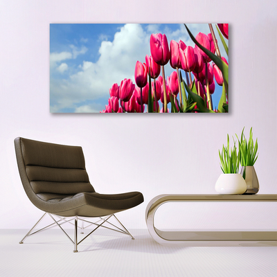 Obraz na plátně Tulipán