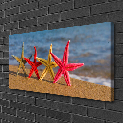 Obraz na plátně Pláž Hvězdice Umění