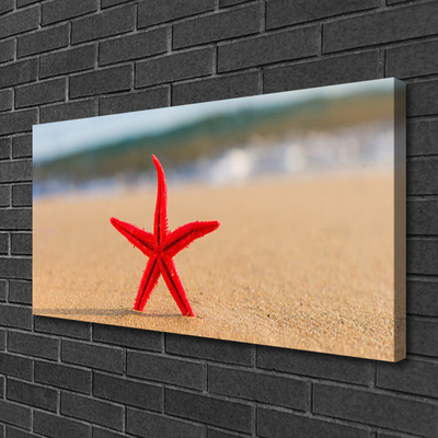 Obraz na plátně Pláž Hvězdice Umění