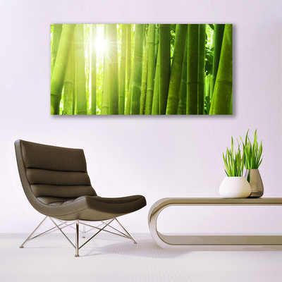 Obraz na plátně Bambus Rostlina
