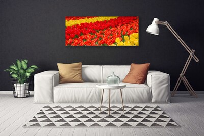 Obraz na plátně Tulipány Květiny