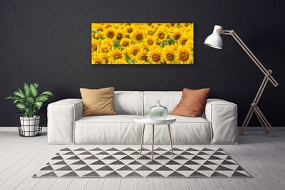 Obraz na plátně Slunecznice Rostlina