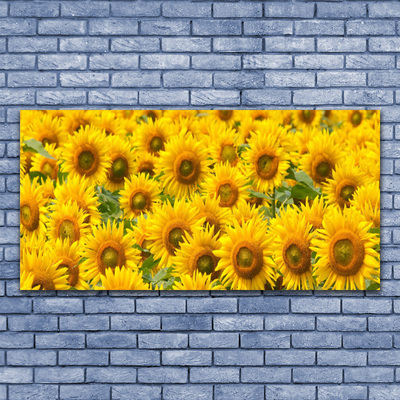 Obraz na plátně Slunecznice Rostlina