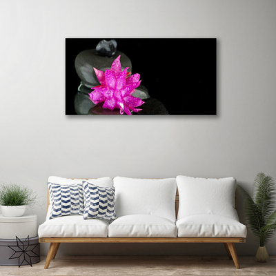 Obraz na plátně Květ Kameny Rostlina