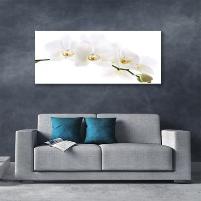 Obraz na plátně Květíny Rostlina