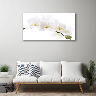 Obraz na plátně Květíny Rostlina