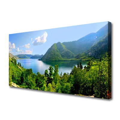Obraz na plátně Les Jezero Hory Krajina