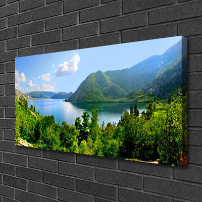 Obraz na plátně Les Jezero Hory Krajina