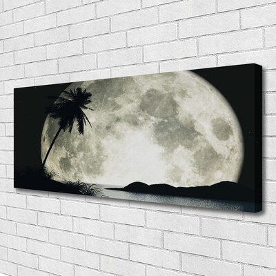 Obraz na plátně Noc Měsíc Palma Krajina