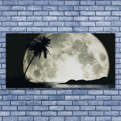 Obraz na plátně Noc Měsíc Palma Krajina