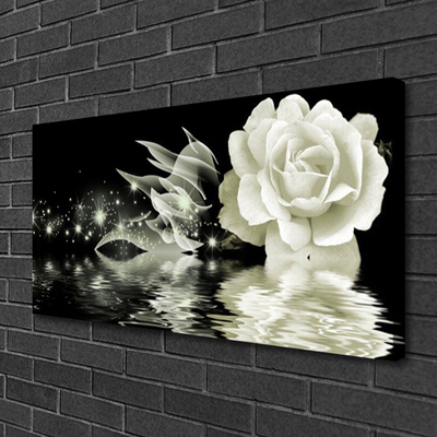 Obraz na plátně Růže Květ