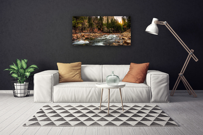 Obraz na plátně Les Jezero Příroda