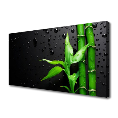 Obraz na plátně Bambus Listy Rostlina