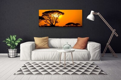 Obraz na plátně Strom Slunce Příroda
