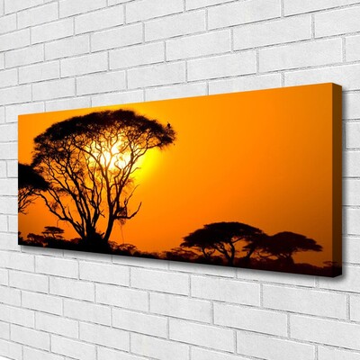 Obraz na plátně Strom Slunce Příroda