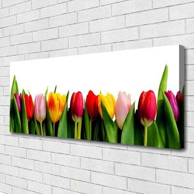 Obraz na plátně Tulipány Rostlina