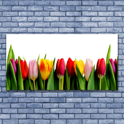 Obraz na plátně Tulipány Rostlina