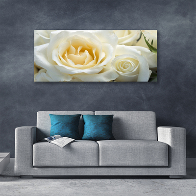 Obraz na plátně Růže Květiny