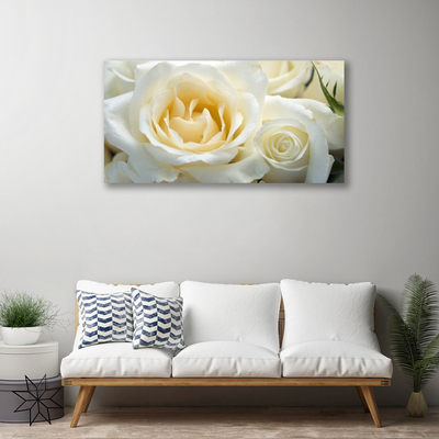 Obraz na plátně Růže Květiny