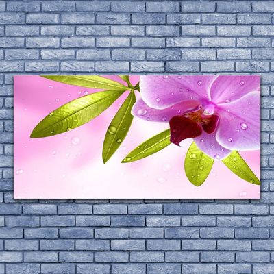 Obraz na plátně Květ Listy Rostlina