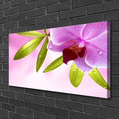 Obraz na plátně Květ Listy Rostlina