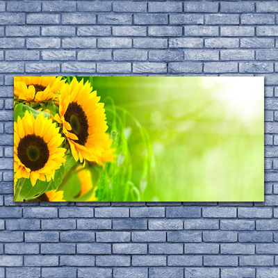 Obraz na plátně Slunečníce Rostlina