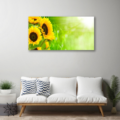 Obraz na plátně Slunečníce Rostlina