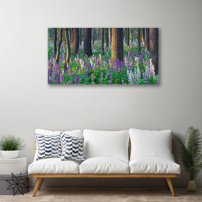Obraz na plátně Les Květiny Příroda