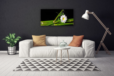 Obraz na plátně Bambus Květ Rostlina