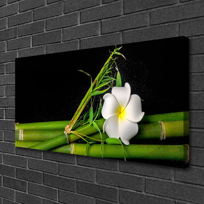 Obraz na plátně Bambus Květ Rostlina
