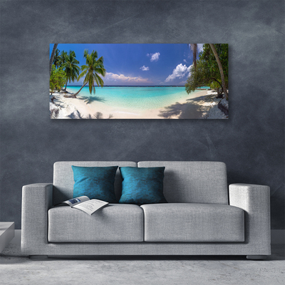Obraz na plátně Moře Pláž Palma Krajina