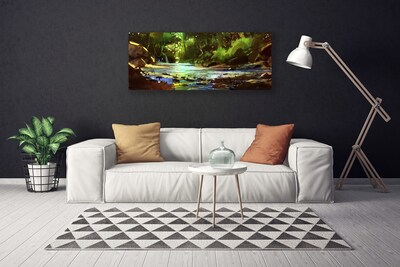 Obraz na plátně Les Jezero Kameny Příroda