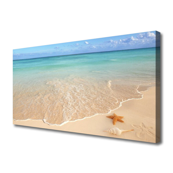 Obraz na plátně Pláž Hvězdice Krajina