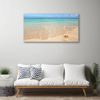 Obraz na plátně Pláž Hvězdice Krajina