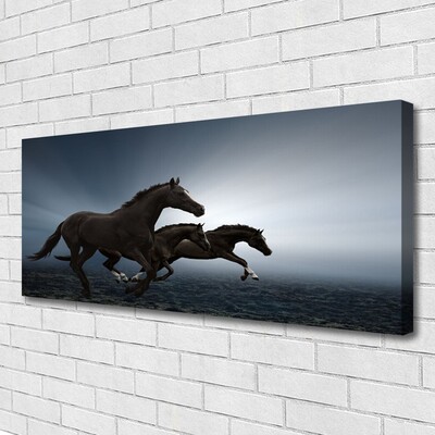Obraz na plátně Koně Zvířata