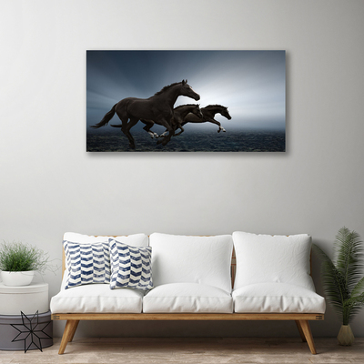 Obraz na plátně Koně Zvířata