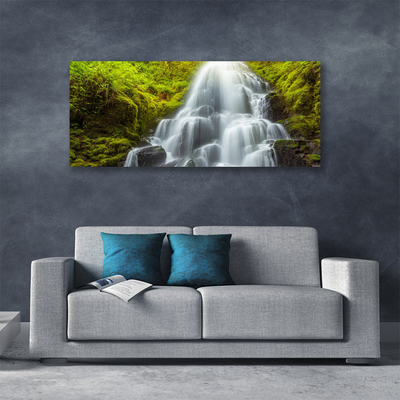 Obraz na plátně Vodopád Příroda
