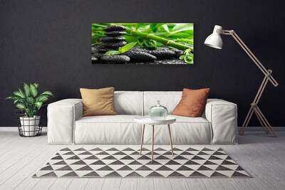 Obraz na plátně Bambus Kameny Rostlina
