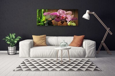 Obraz na plátně Kvetiny Bambus Rostlina