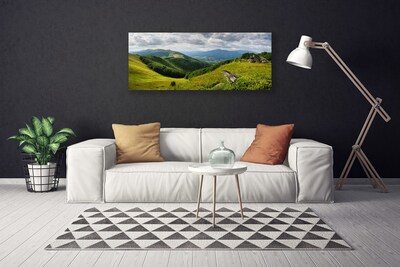Obraz na plátně Hora Louka Krajina