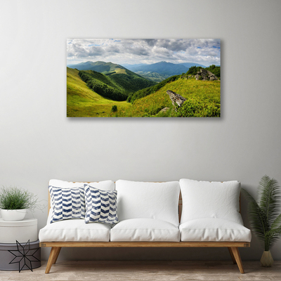 Obraz na plátně Hora Louka Krajina