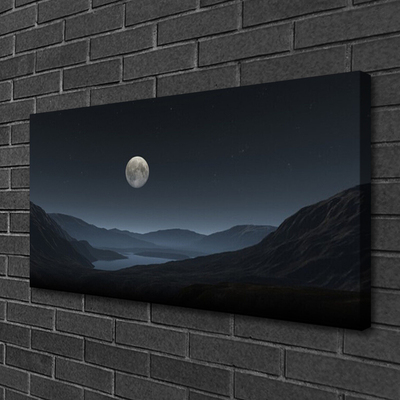 Obraz na plátně Noc Měsíc Krajina