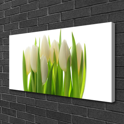 Obraz na plátně Tulipány Rostlina Příroda