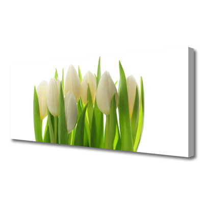 Obraz na plátně Tulipány Rostlina Příroda
