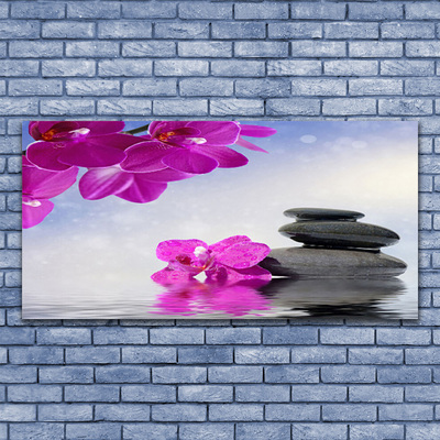 Obraz na plátně Květiny Kameny Rostlina