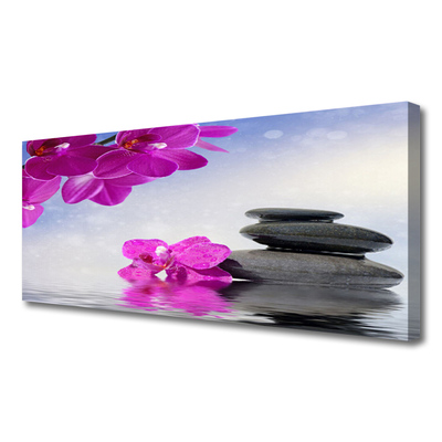 Obraz na plátně Květiny Kameny Rostlina